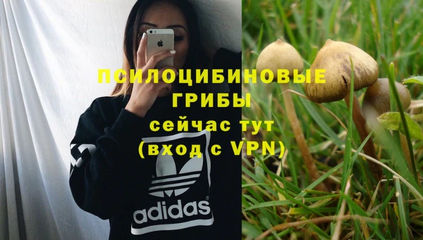 jwh Бугульма