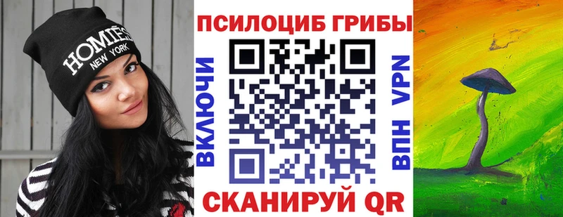 Купить закладки  Ступино  Псилоцибиновые грибы Cubensis 